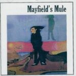 Mayfield's mule