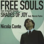 Free Souls/Shades of Joy