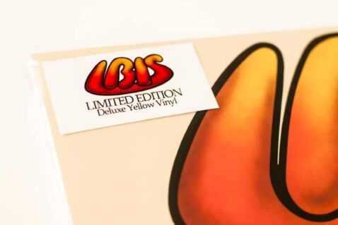 Ibis (Solid Yellow Vinyl)-24067