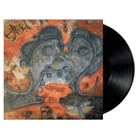 Impetus Insectorum  [10.10.2025]