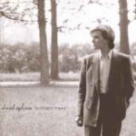 Brilliant Trees (CD)