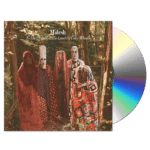To The Cloud-Cuckoo Land Of Color Wheels